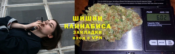 ешки Иннополис