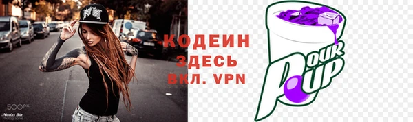 ешки Иннополис