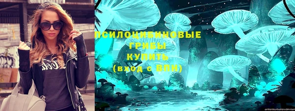 ешки Иннополис