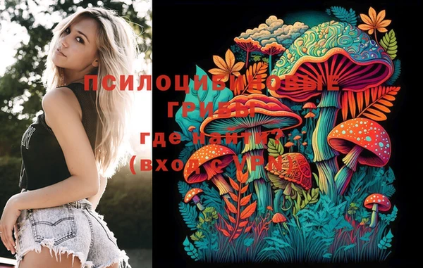 ешки Иннополис