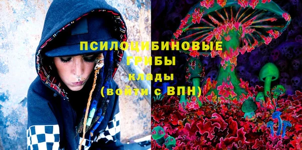 ешки Иннополис