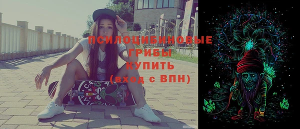 ешки Иннополис