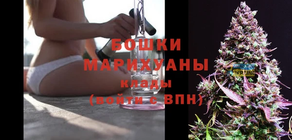 ешки Иннополис