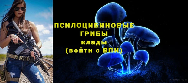 ешки Иннополис