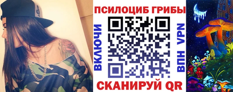Купить  Десногорск  Псилоцибиновые грибы Psilocybine cubensis 